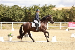 SBM_003534