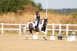 SBM_018266