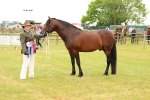 SBM_04311