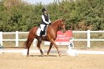 SBM_018379