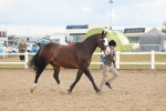 SBM_07892