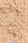 231011A-112602-00238