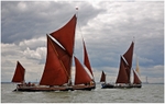 Racing Pair (5)