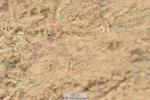 230611A-142332-06288