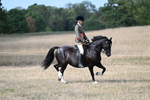 WJ7_7610