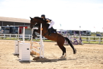 Class 10 - Senior 1.05m Open portfolio
