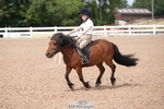 Cls 1 and 2 Clear Round 40cm and 50cm portfolio