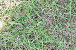 SBM_03938