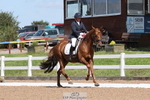 259-Amy.Harris-Stormhill.ultima portfolio