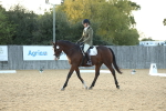 SBM_31125