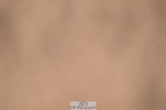 260408-105509-00269