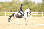 SBM_007875