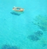 crystal waters