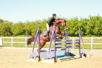 SBM_001552