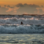 1st Print The Next Wave Gary Mayhew