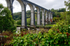 The Viaduct at Calstock 2