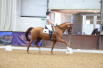 SBM_001713