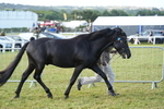 DSC04906