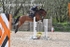 BPP_5885
