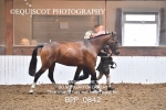 BPP_0842