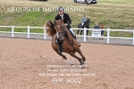 BPP_8002