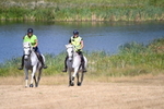 WJ6_8871