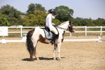 SBM_004842