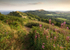 Late Summer Evening 2