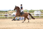 SBM_003524