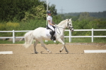 SBM_008999