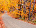 Istock #17862467