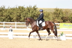 SBM_006293