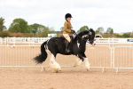 SBM_15662