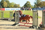 SBM_15268