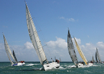 120630 CHOSEN ONE GBR2634L WT7A2614