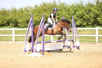 SBM_001084