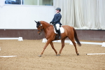 SBM_003311