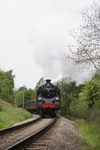 Haworth 254