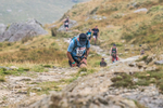 Peris Horseshoe-547