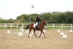 SBM_009619
