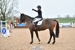 Cls 5 Foxhunter & 1.20m Open portfolio