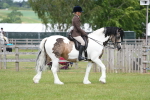 SBM_17234
