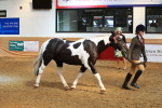 SBM_10722