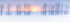 WINTER TREELINE - NORFOLK COUNTY