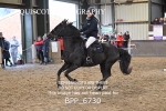 BPP_6730