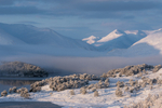 Winter mist
