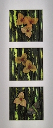 Plants & Flowers portfolio