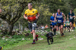 Dovedale-984