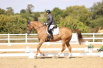SBM_015091