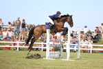 Class A: Showjumping Senior Open 1.25 portfolio